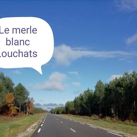 Le Merle Blanc Louchats Hotel Eksteriør billede