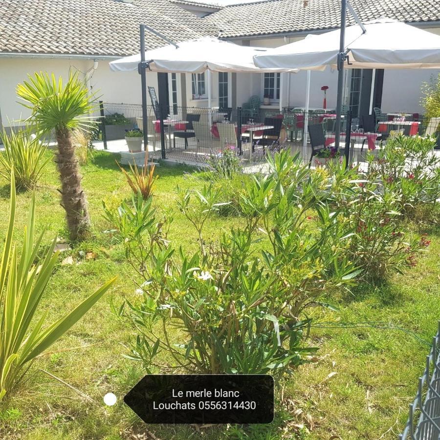 Le Merle Blanc Louchats Hotel Eksteriør billede